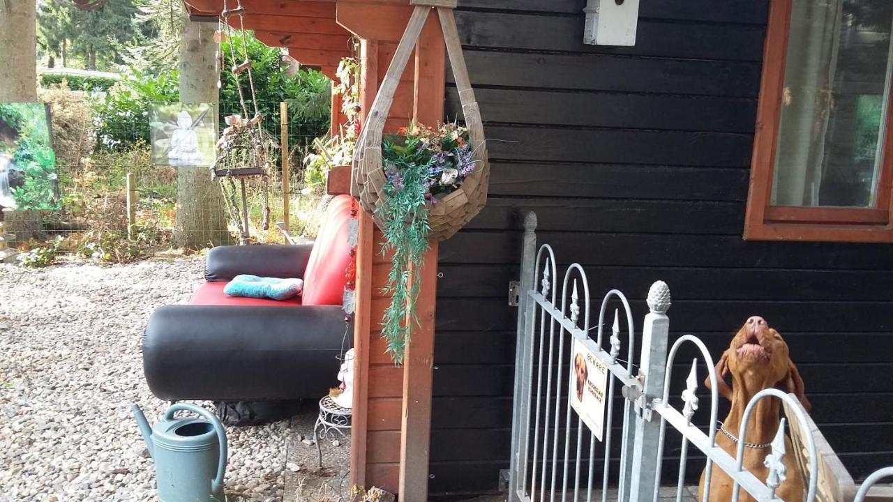 Chalet Op Een Rustig Park In De Natuur Putten Buitenkant foto