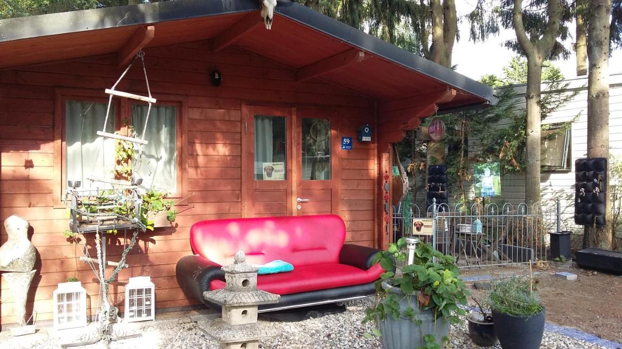 Chalet Op Een Rustig Park In De Natuur Putten Buitenkant foto
