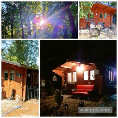 Chalet Op Een Rustig Park In De Natuur Putten Buitenkant foto