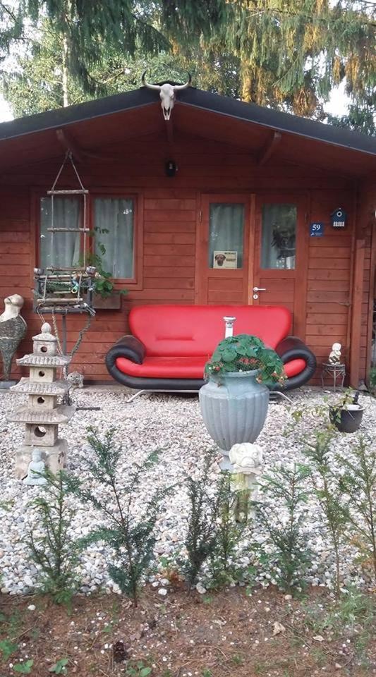 Chalet Op Een Rustig Park In De Natuur Putten Buitenkant foto