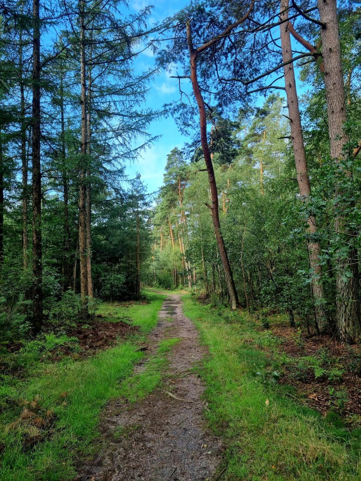 Chalet Op Een Rustig Park In De Natuur Putten Buitenkant foto