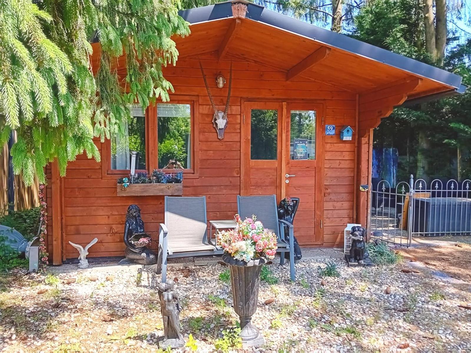 Chalet Op Een Rustig Park In De Natuur Putten Buitenkant foto
