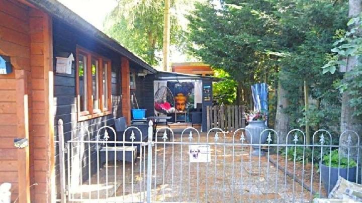Chalet Op Een Rustig Park In De Natuur Putten Buitenkant foto