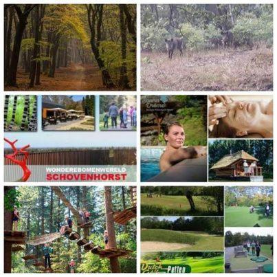 Chalet Op Een Rustig Park In De Natuur Putten Buitenkant foto